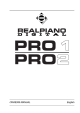 Pro 2